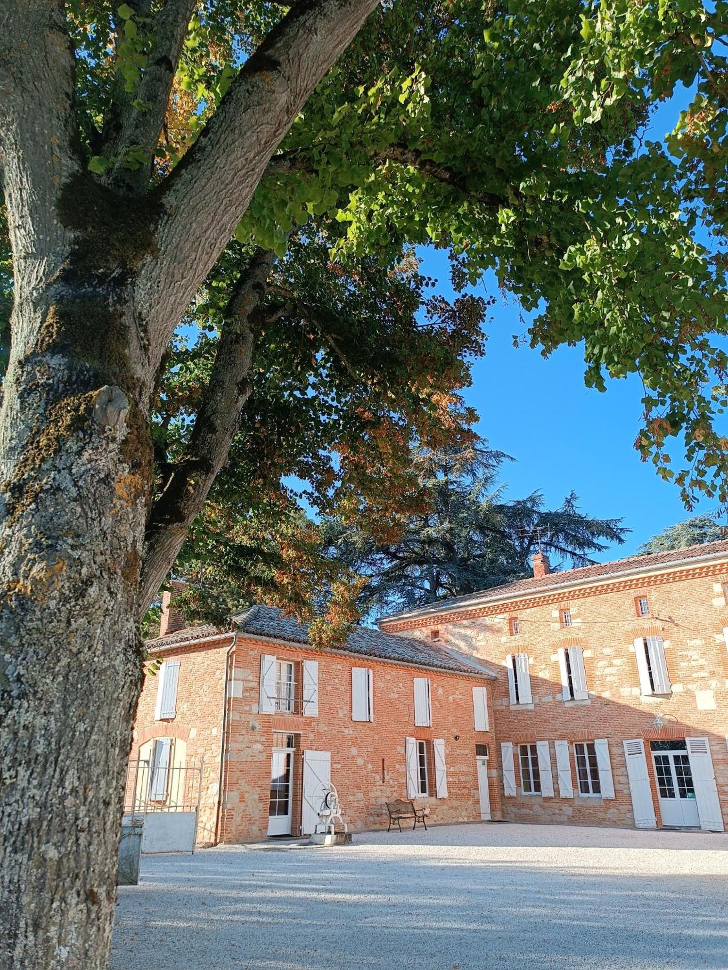 Le Jardin Des Cedres Hotel Lavaur  Exterior photo